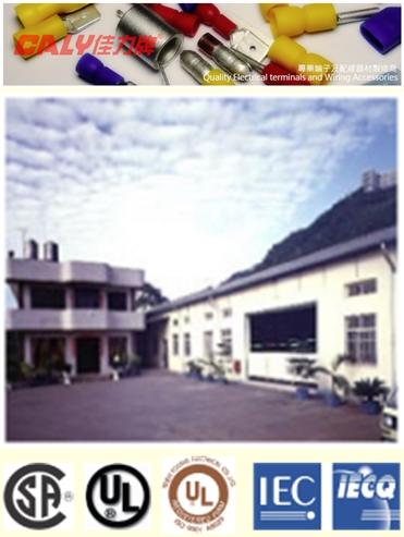 CALY-terminals源洋實業股份有限公司 420 台中市豐原區 - Company Profile & Background