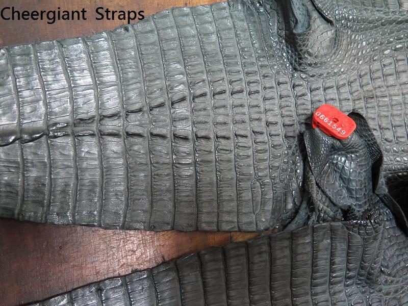 Gray crocodile skin