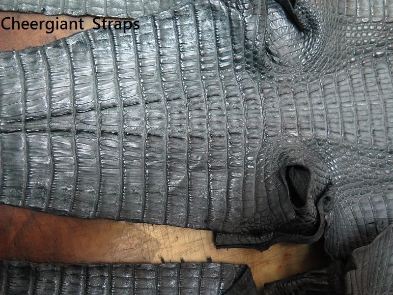 Gray crocodile skin