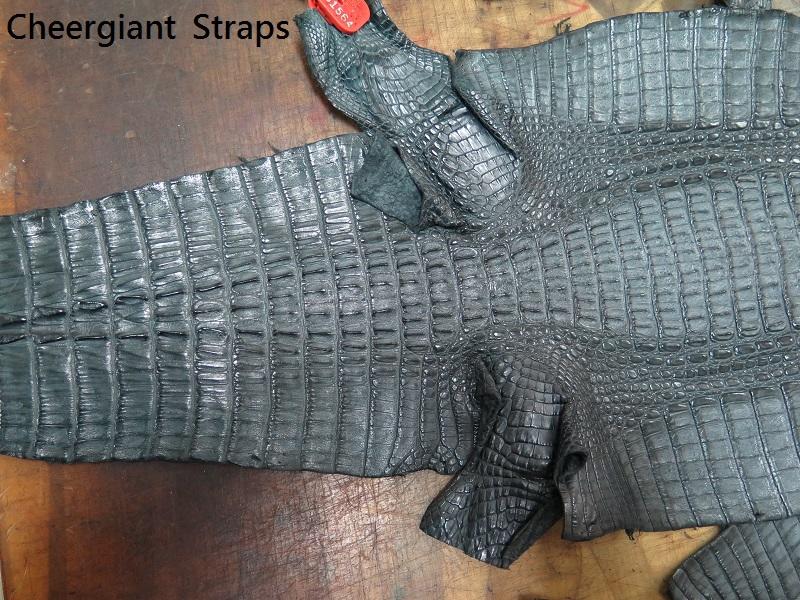 Gray crocodile skin