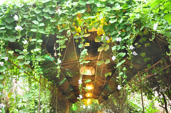 Nhà Hàng Cây Bưởi 2