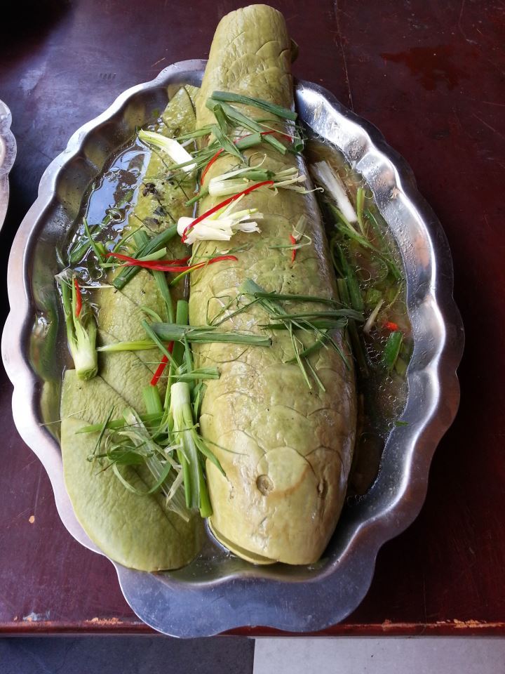 Cá lóc hấp bầu