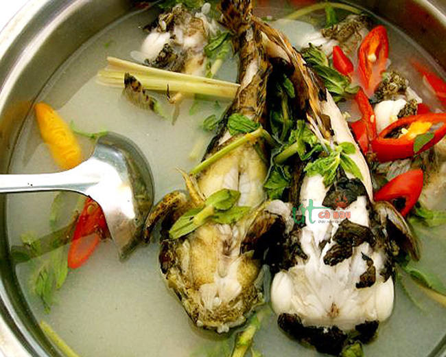 CÁ MAO ẾCH NẤU MẺ