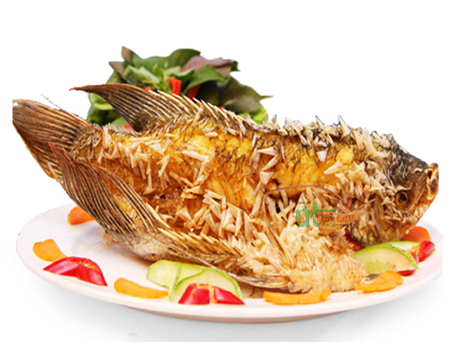 CÁ TAI TƯỢNG CHIÊN XÙ