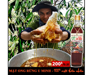 MẬT ONG RỪNG U MINH