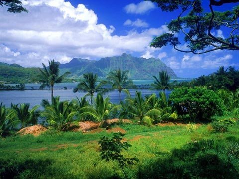 Dragon_Indochine_Travel