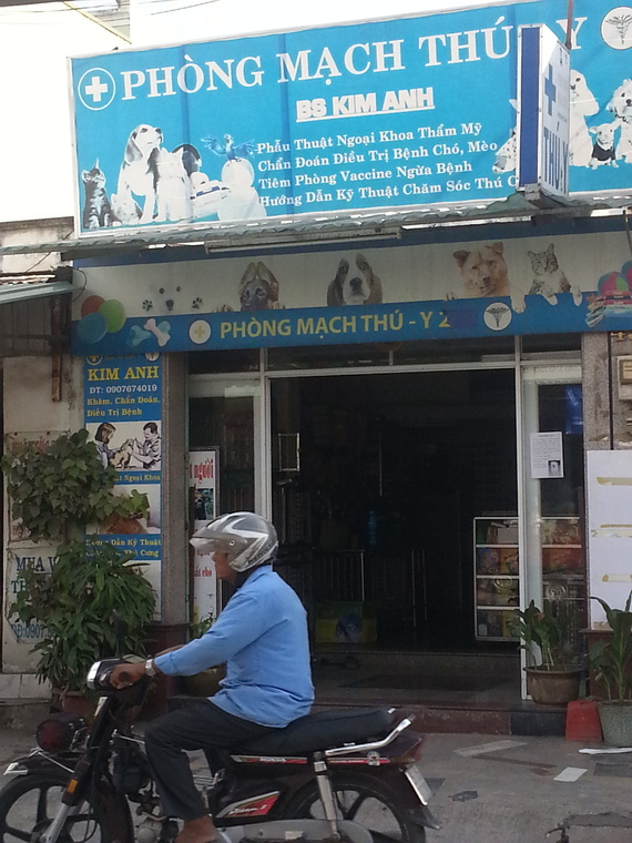 Phòng Mạch Thú Y BS