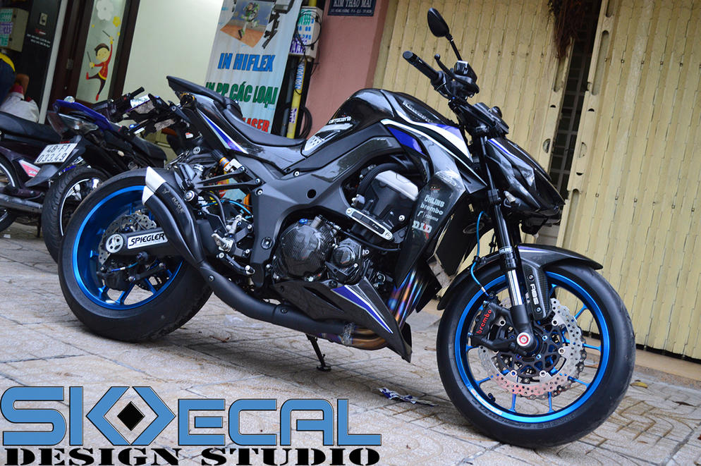 Kawasaki Z1000 Z1-01